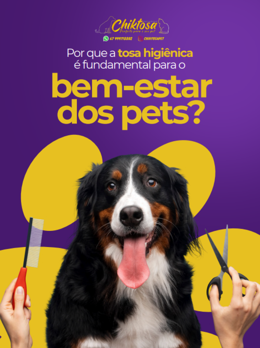 Imagem Captura de tela 2025-04-25 163330